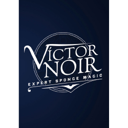 エキスパート・スポンジ・マジック 日本語字幕版 （Expert Sponge Magic）