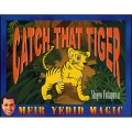 キャッチ・ザット・タイガー （Catch That Tiger）