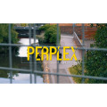 パープレックス （Perplex）