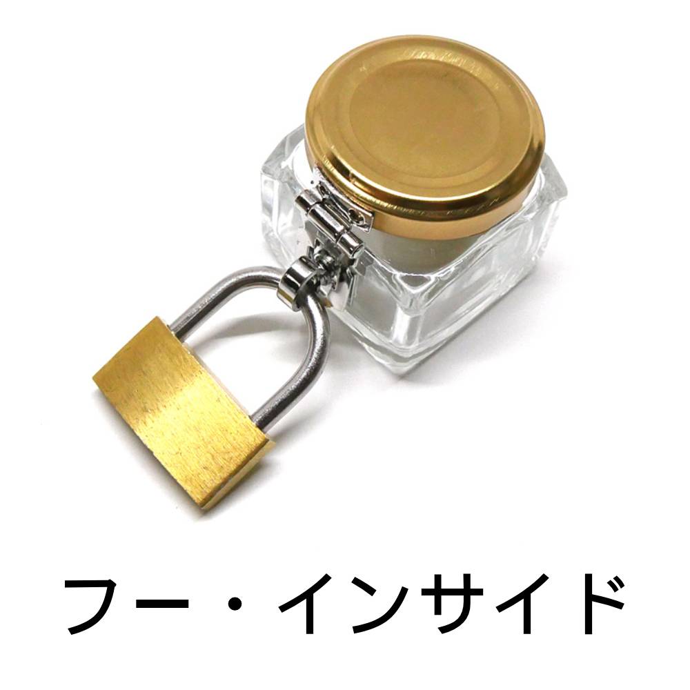フー・インサイド （Who Inside）