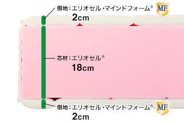 フラッグFX_5