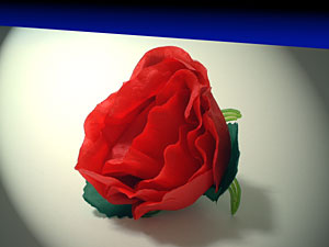 ジャンピングローズ