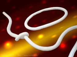 フォーナイトメアーズDX