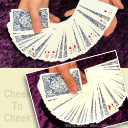 チークトゥチーク（テンヨー）