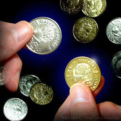 パーミング・フーディニーコイン