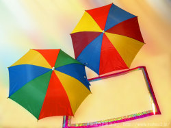 パラソルの咲く窓