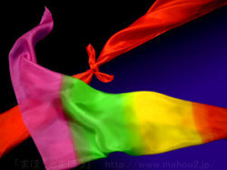 レインボー20世紀シルク