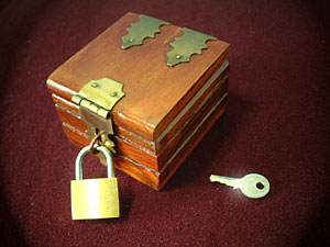 指輪になる 5 【マジック 手品】 指輪になるコイン 5 【マジック 手品】 4139SjwKeIL._SS200_.jpg