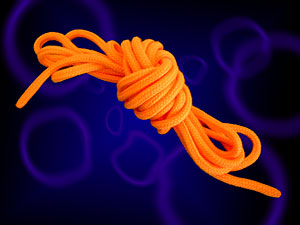 メキシカンロープ