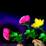 おじぎする色変わりの花（黄・ピンク）