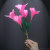 エレガントフラワー・プロダクション（ピンク）