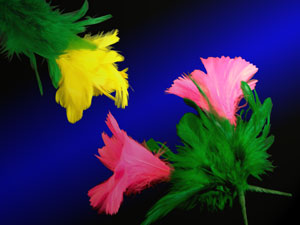 ダブルフラワー