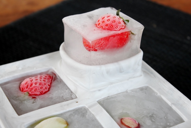 Diorディオール製氷皿 アイスデザイナートレイ アイスキューブデザイントレイ Diorディオール製氷皿 アイスデザイナートレイ アイスキューブデザイン