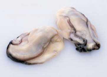 高品質！ノースイ）　広島産　かき　L　１ｋｇ