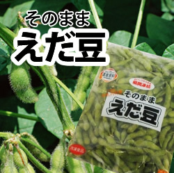 人気！！JA）　北海道　中札内産！　枝豆　　１ｋｇ