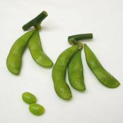 ニッスイ）　枝つき塩あじ　えだ豆　１ｋｇ