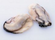 高品質！ノースイ）　広島産　かき　L　１ｋｇ