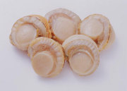 北海道産！ノースイ）　ボイルホタテ　M　１ｋｇ