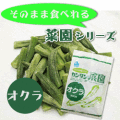 ノースイ） カンタン菜園　オクラ　５００ｇ