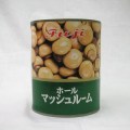 富士商会）　マッシュルーム　ホール　２号缶　８５０ｇ