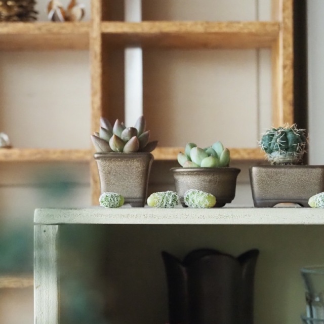 陶器製植木鉢 6個セット ミニミニ盆栽多肉植物ポット 豆鉢 19（陶器製  