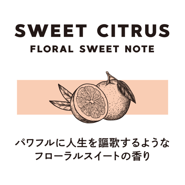 FR スウィートシトラス ファブリックミスト