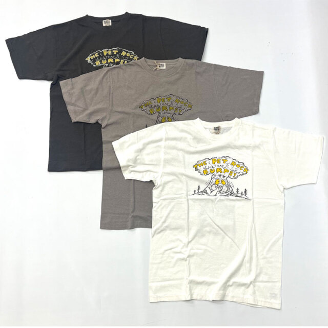 ダブルワークス DUBBLE WORKS ラフィ天竺 プリントTシャツ The Pet Rock Lot.33005 5.4oz