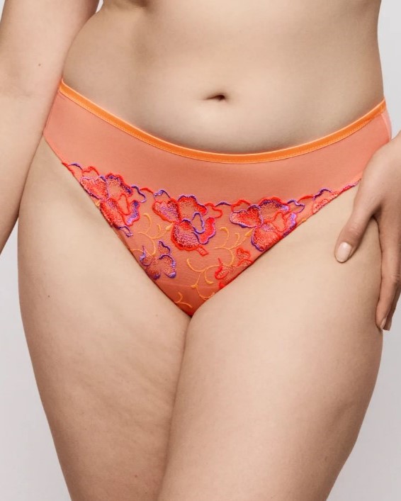 新色　プリマドンナ　PRIMA DONNA　Devdaha　タンガ