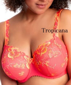 新色　プリマドンナ　PRIMA DONNA　Devdaha　フルカップブラ（B～I