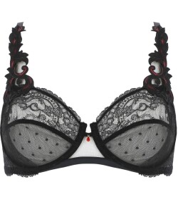 LISE CHARMEL　リズシャルメル　SOIREE LIBERTINE　自由な夜　フルカップブラジャー