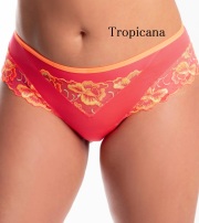 新色　プリマドンナ　PRIMA DONNA　Devdaha　ラグジュアリータンガ