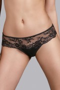 新色追加　Andres Sarda　　GINGER　タンガ