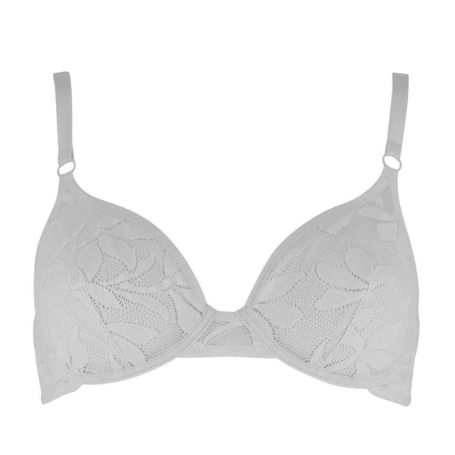 Epure by Lise Charmel 　エピュール　DENTELLE TULIPES　フルカップブラジャー