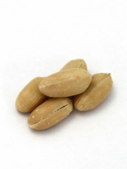 【落花生豆菓子】　バターピーナッツ（千葉産）　100g