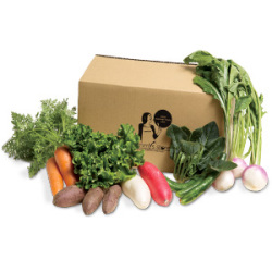 有機野菜オーガニックBOX