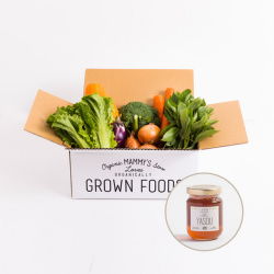オーガニックBOX 有機野菜S ＆ハチミツ110gセット