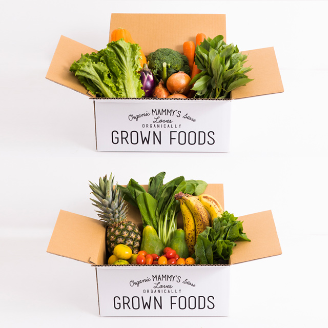 オーガニックBOX 有機野菜S ＆ スムージーSセット