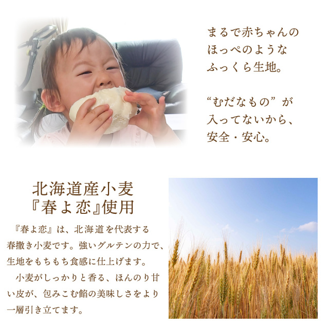 180円 商品追加値下げ在庫復活 高菜肉饅 たかな肉まん 2個入 北海道小麦 和豚 もちぶた