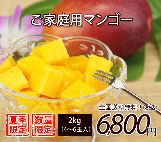 沖縄産サイズばらばらご家庭用マンゴー2kg（4～6玉）【送料無料】