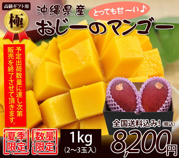 【極】最高級の沖縄マンゴー1kg贈答用2～3玉入り（お中元・ギフト）【送料無料】