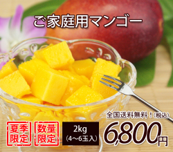 沖縄産サイズばらばらご家庭用マンゴー2kg（4～6玉）【送料無料】