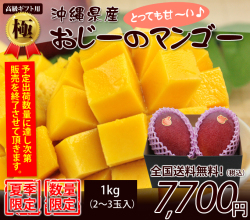 【極】最高級の沖縄マンゴー1kg贈答用2～3玉入り（お中元・ギフト）【送料無料】