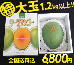 沖縄キーツマンゴー特大玉1.2kg以上（1玉）【送料無料】