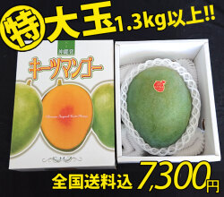 沖縄キーツマンゴー特大玉1.3kg以上（1玉）【送料無料】