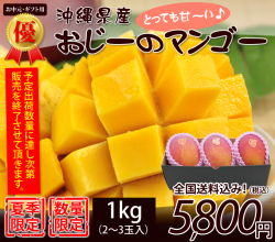 【優品】沖縄マンゴー贈答用1kg（お中元・ギフト）2～3玉入り【送料無料】