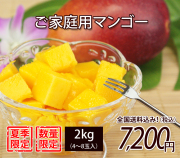 沖縄産サイズばらばらご家庭用マンゴー2kg（4～6玉）【送料無料】