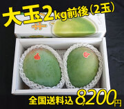 沖縄キーツマンゴー大玉2kg前後（2玉）【送料無料】