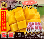 【極】最高級の沖縄マンゴー2kg贈答用4～5玉入り（お中元・ギフト）【送料無料】