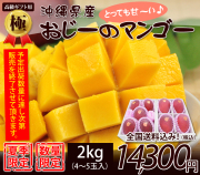 【極】最高級の沖縄マンゴー2kg贈答用4～5玉入り（お中元・ギフト）【送料無料】
