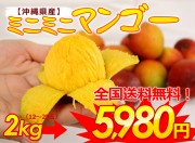 沖縄産ミニマンゴー（ご家庭用）2kg【送料無料】